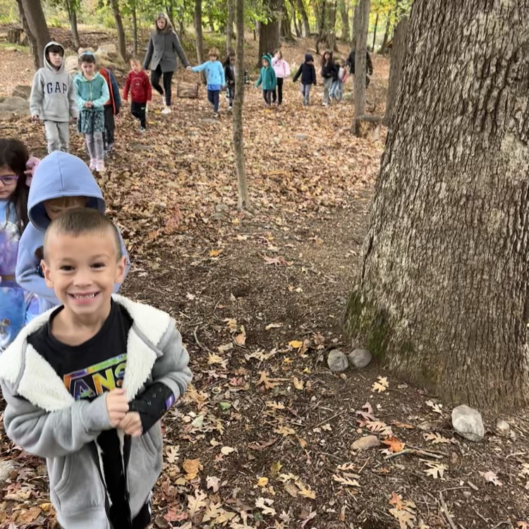 children taking a walk in the woods
