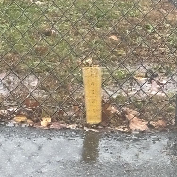 rain gauge