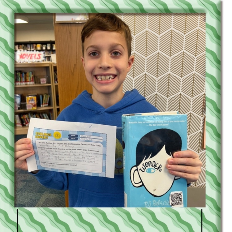 Fiction: realistoc expert