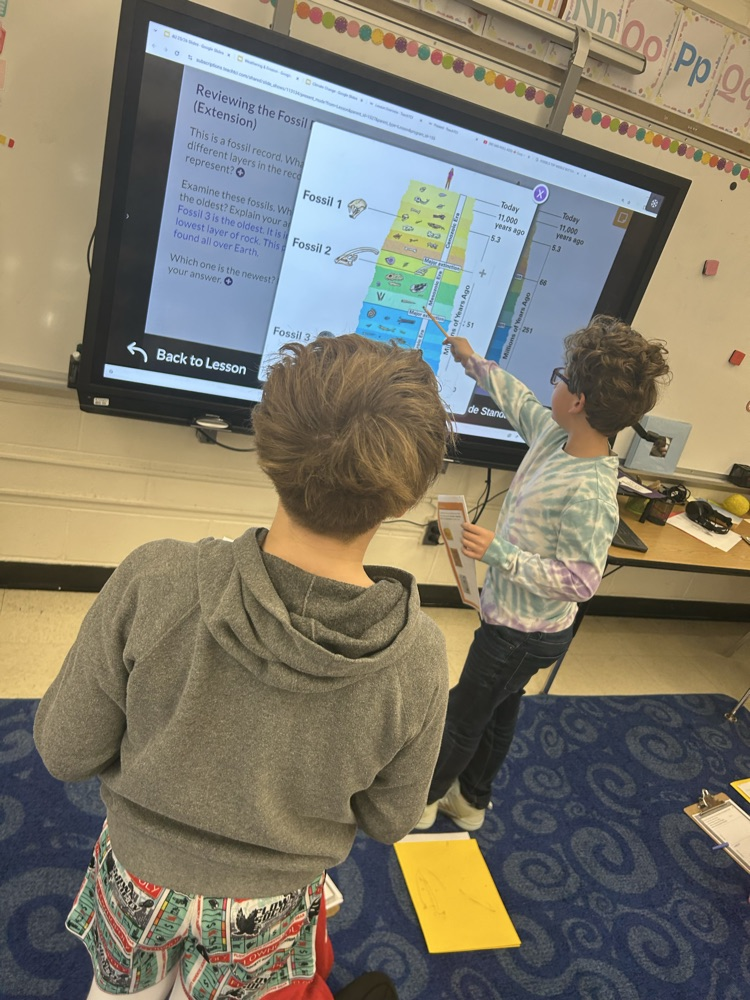 Digging for fossils! 