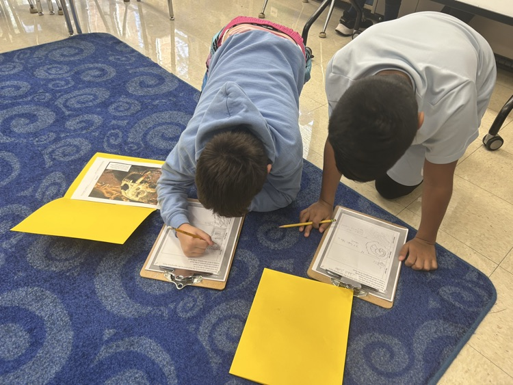 Digging for fossils! 