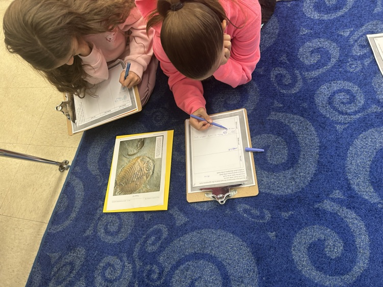 Digging for fossils! 