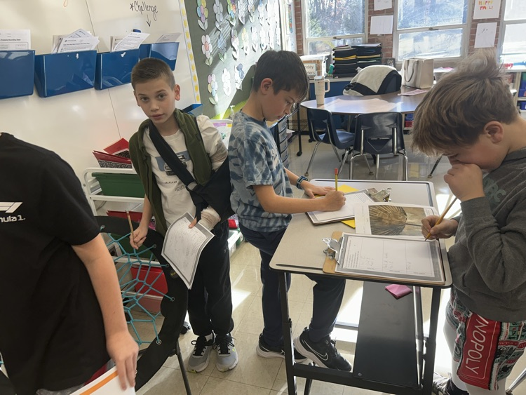 Digging for fossils! 