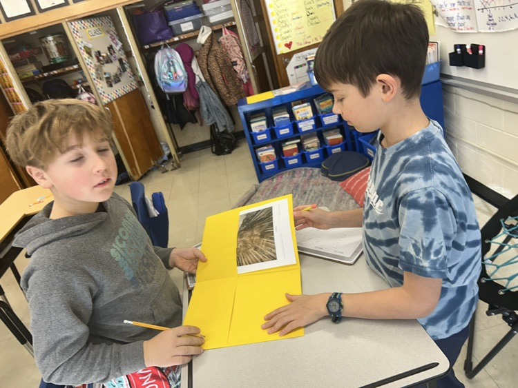 Digging for fossils! 