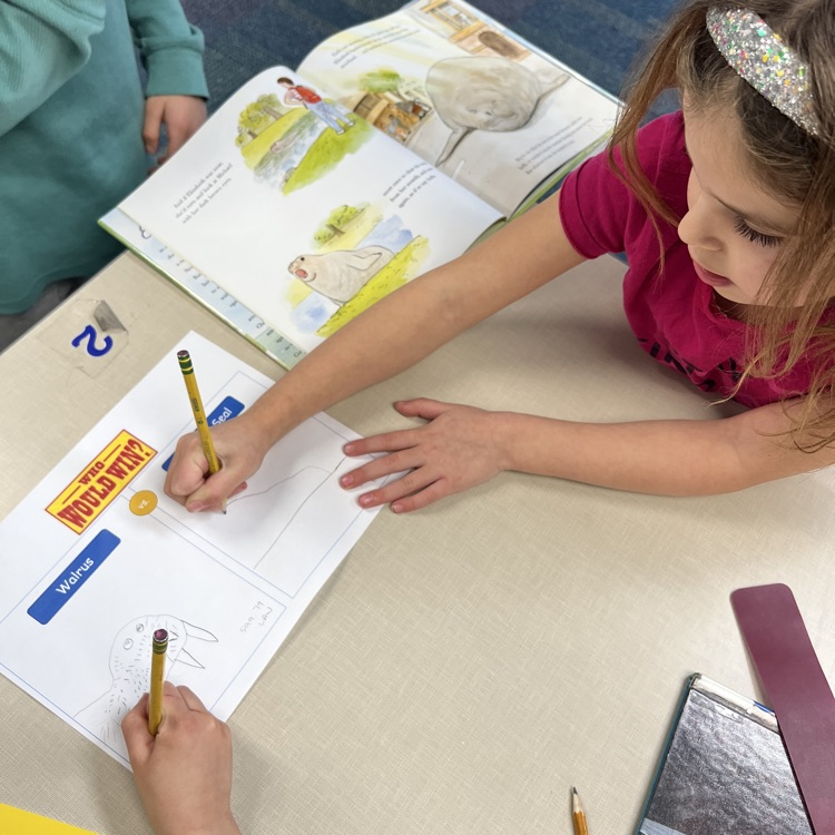 Reading a book and drawing our own version of the book cover