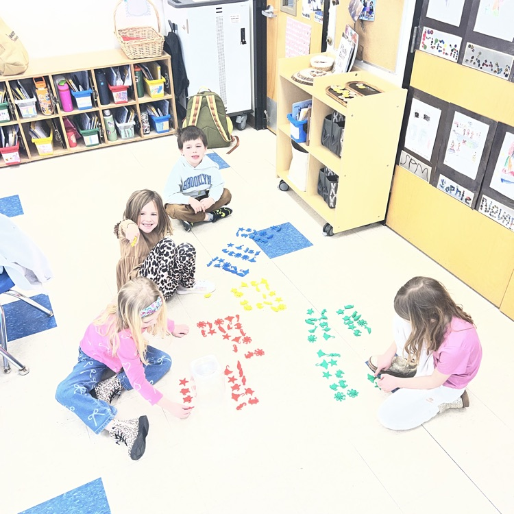 KRO organized math manipulatives in different ways to make them easy to count, 