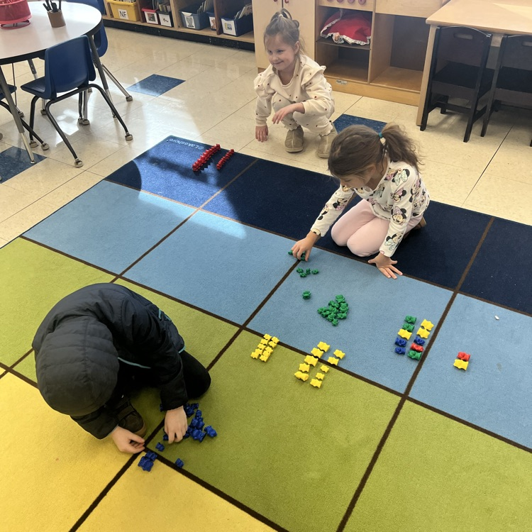 KRO organized math manipulatives in different ways to make them easy to count, 