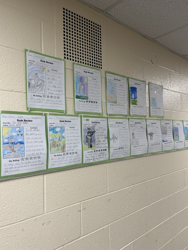 wild robot book review