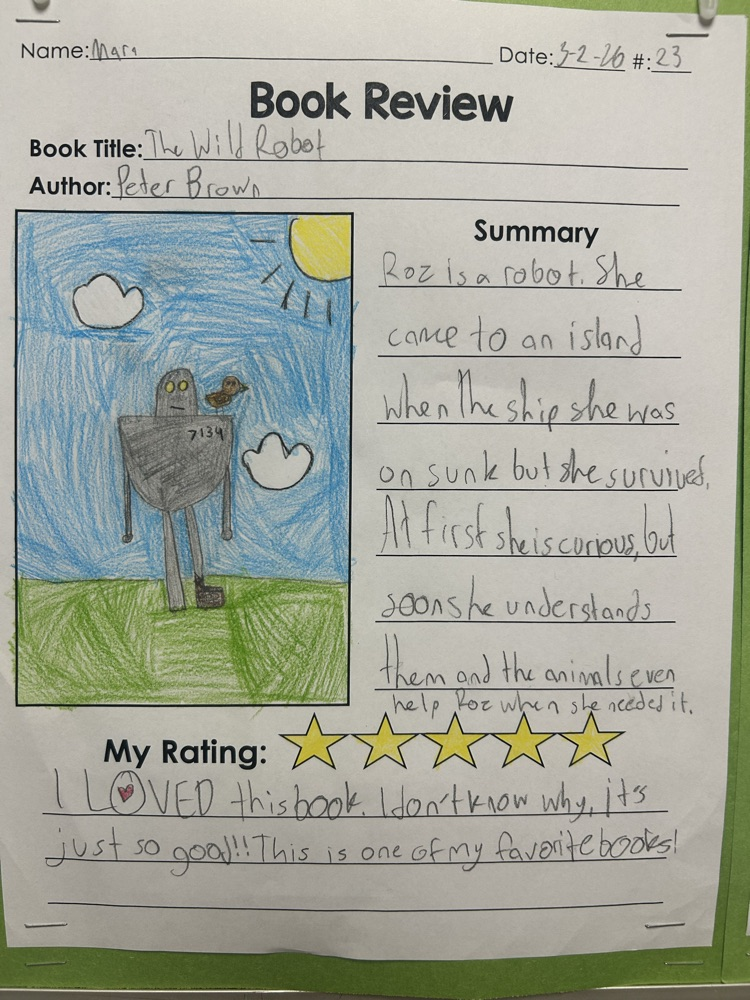 wild robot book review