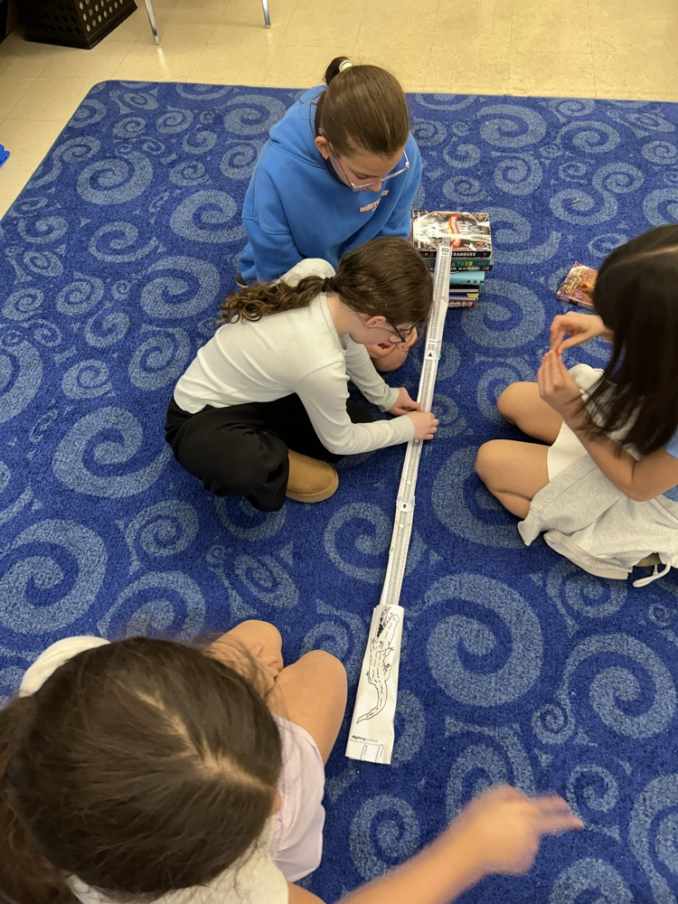 Marble Roller Coaster! 