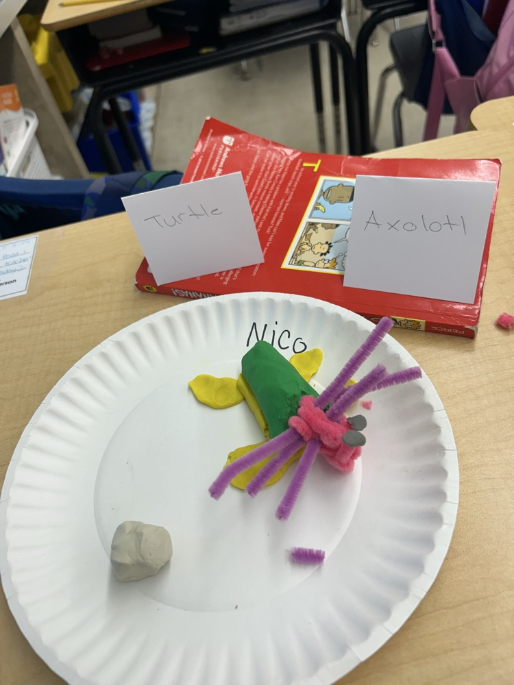 science project 