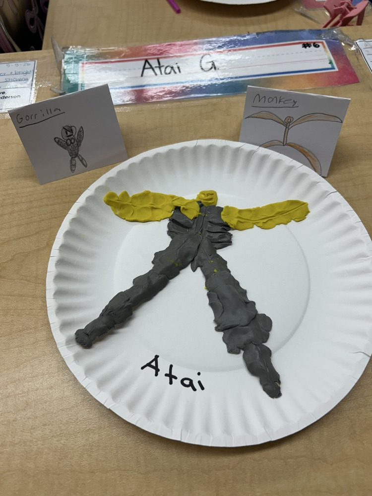 science project 