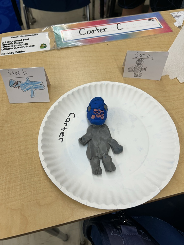 science project 