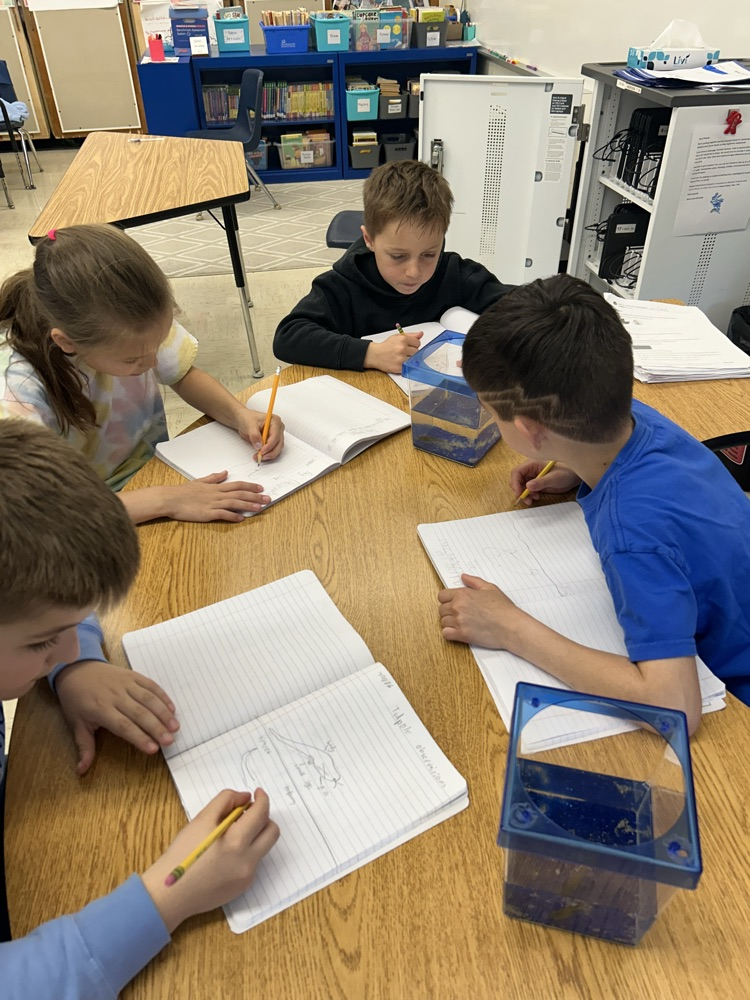 third graders