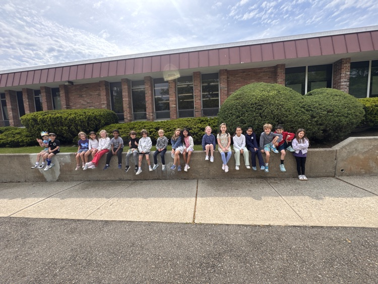 library trip