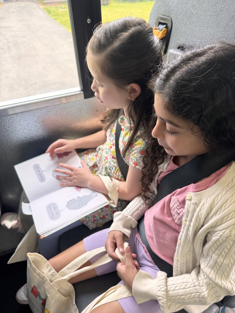 library trip