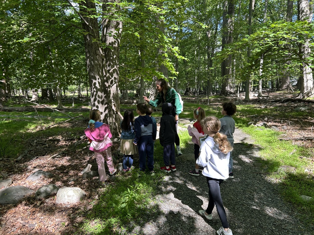 Children exploring