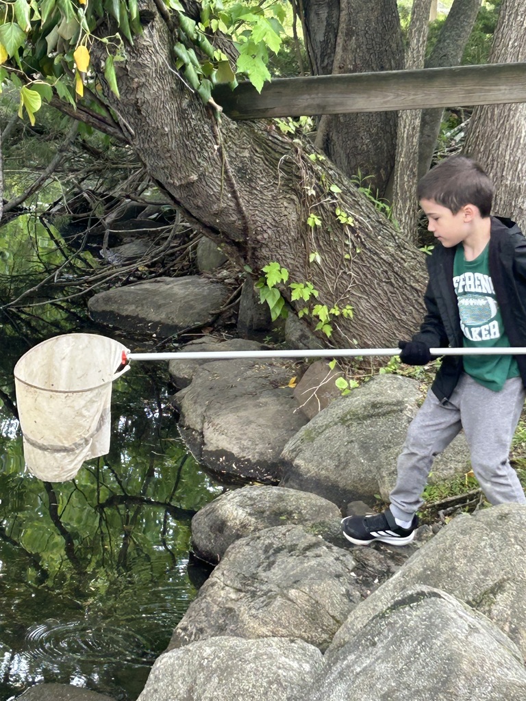 Children exploring