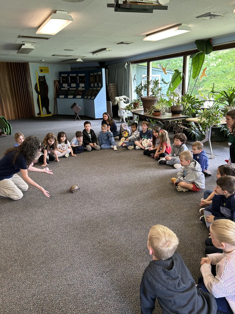 Children exploring