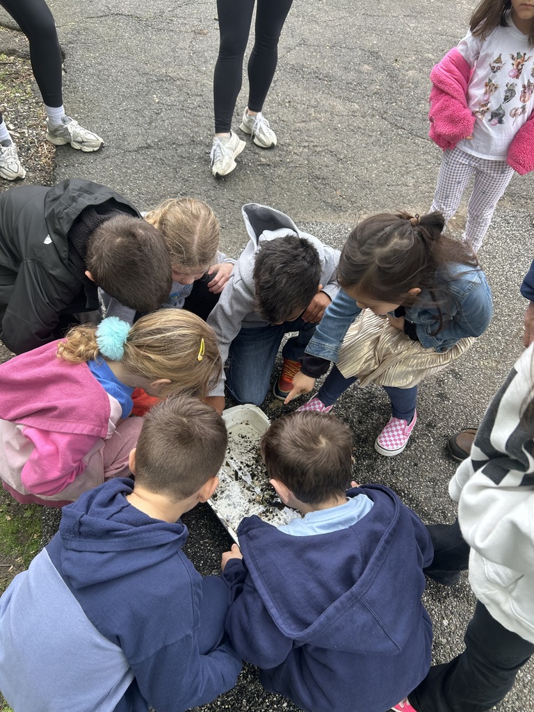 Children exploring