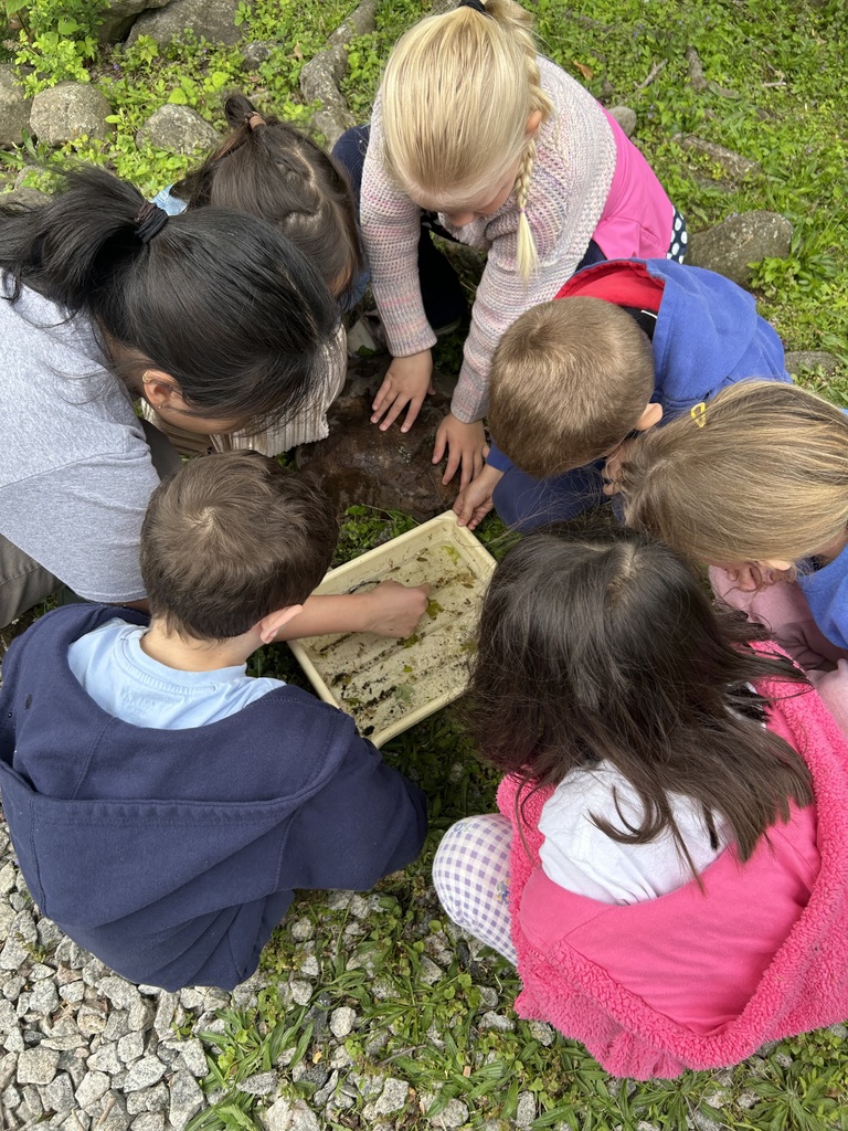 Children exploring