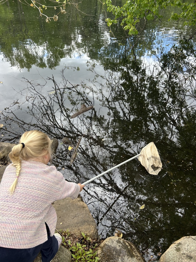 Children exploring