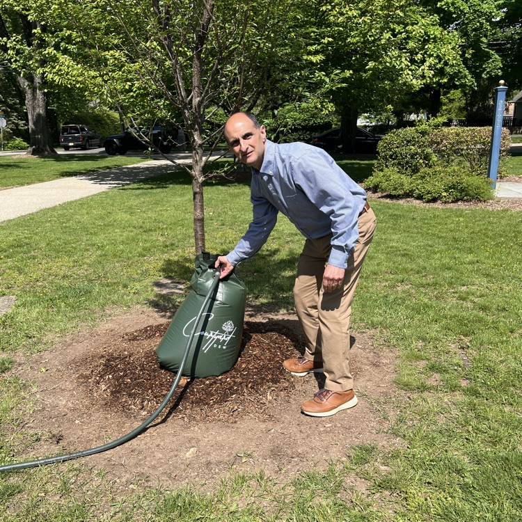Tode landscaping 