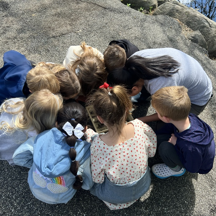 field trip