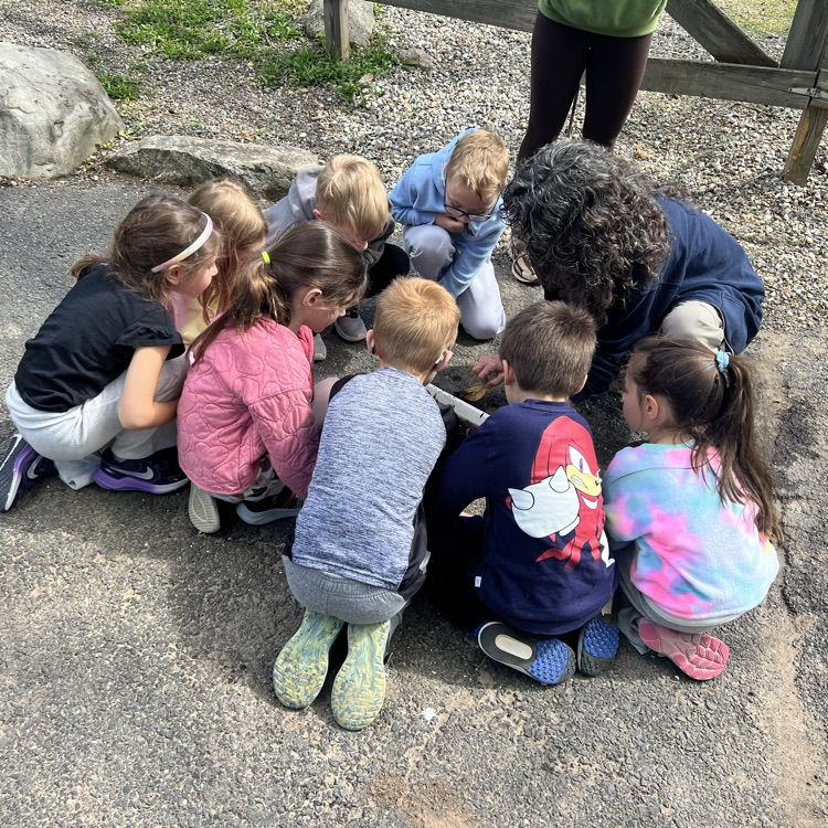field trip