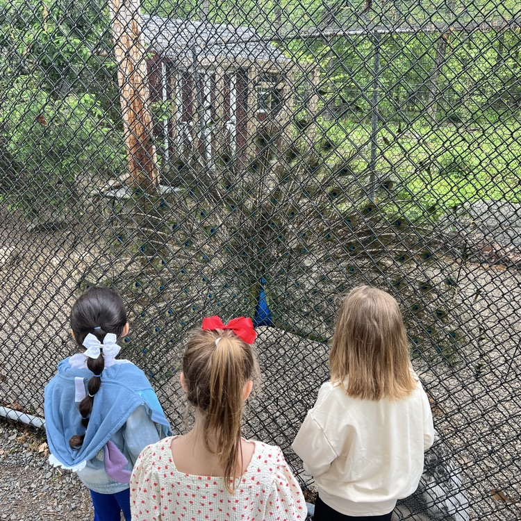 field trip