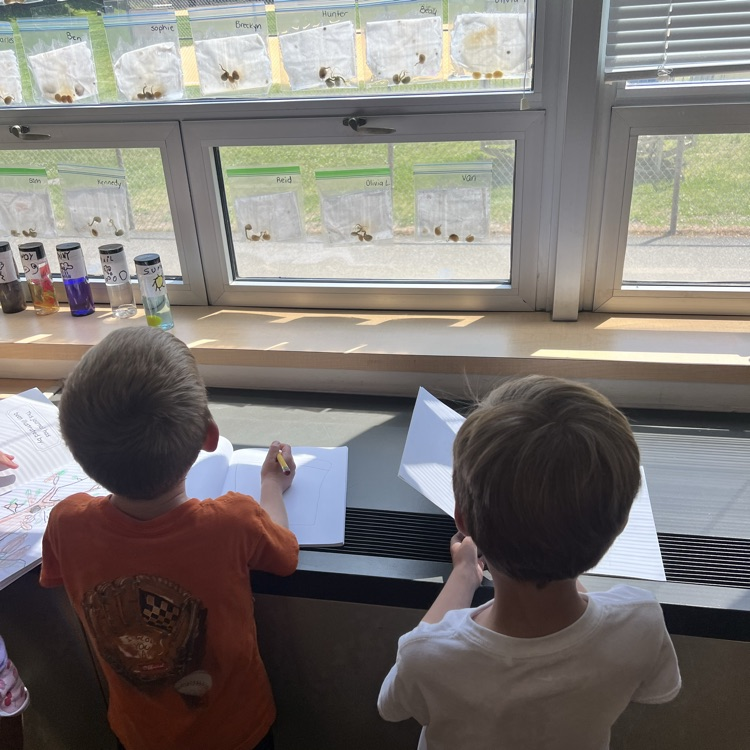 KRO observes and records the changes in their seeds. We are starting to see some growth!
