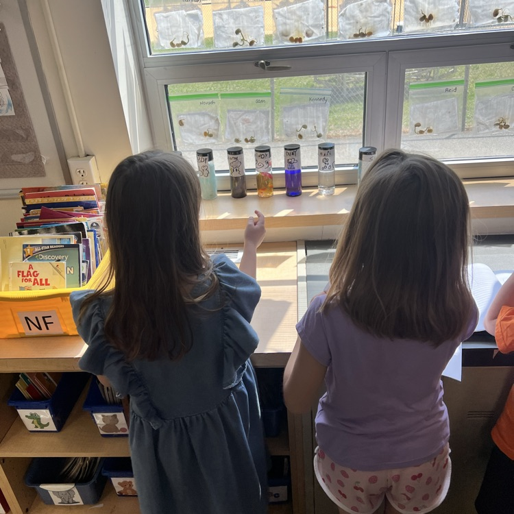 KRO observes and records the changes in their seeds. We are starting to see some growth!
