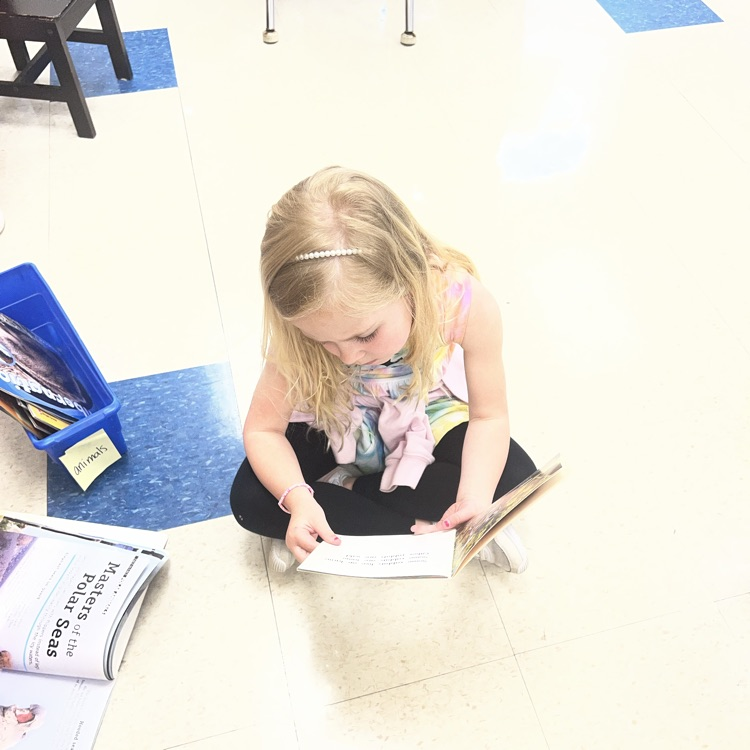 KRO enjoys learning facts from nonfiction books.