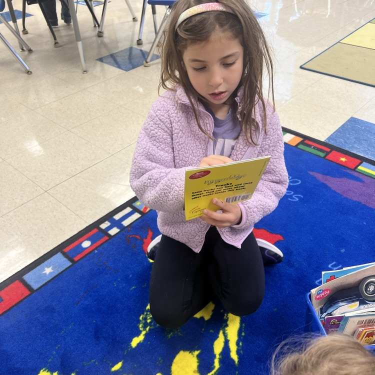 KRO enjoys learning facts from nonfiction books.