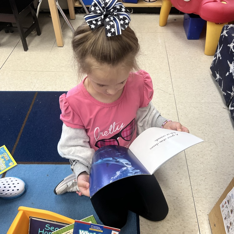 KRO enjoys learning facts from nonfiction books.