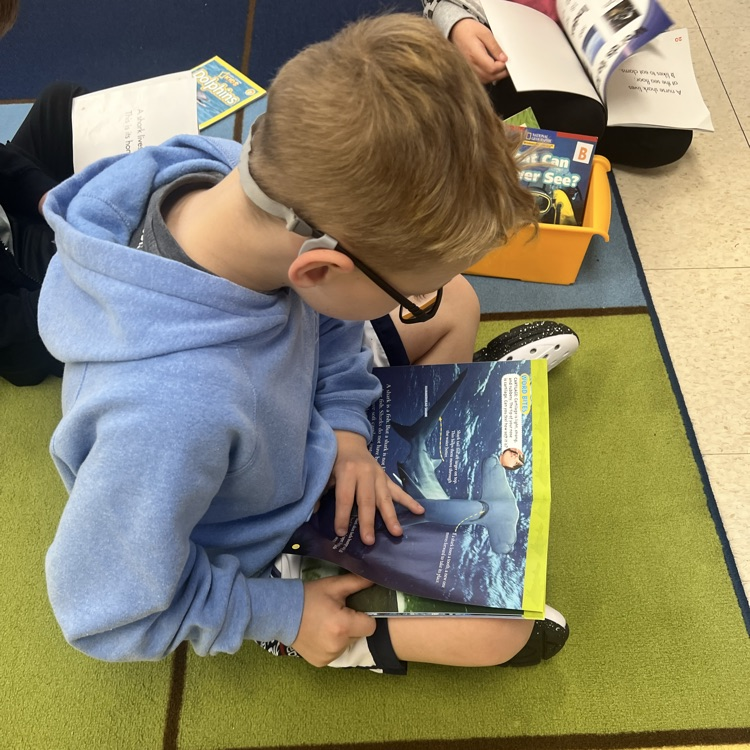 KRO enjoys learning facts from nonfiction books.