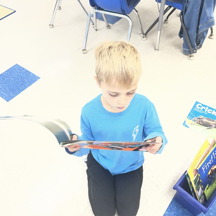 KRO enjoys learning facts from nonfiction books.