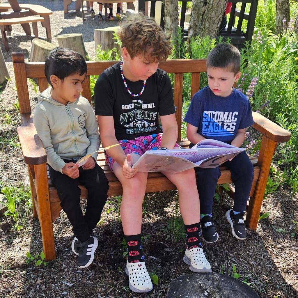 reading outside 