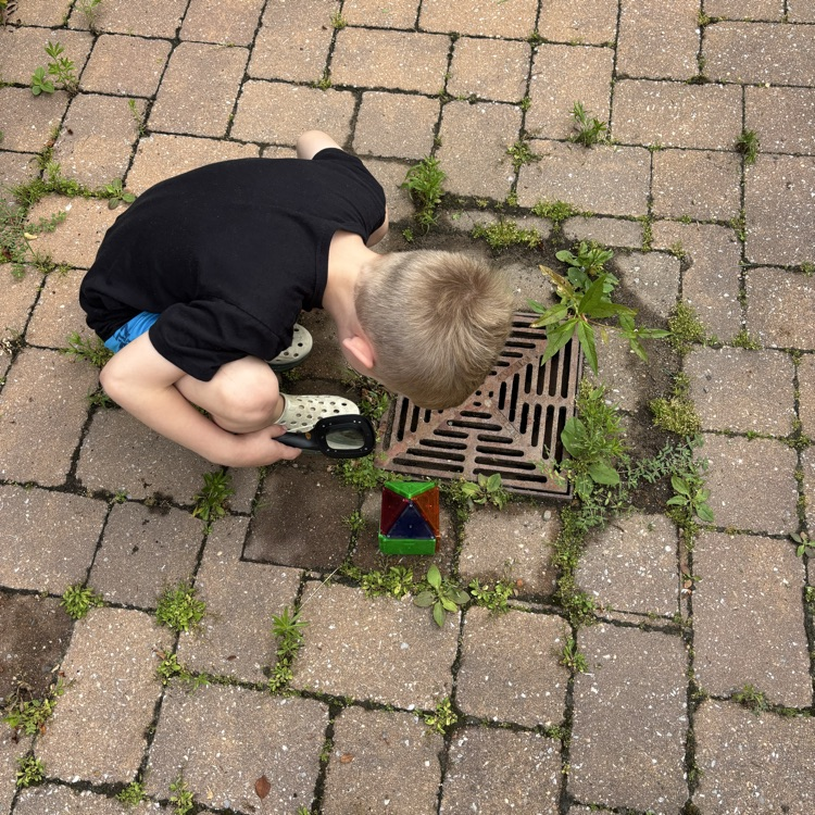 Little boy, looking at ladybugs with a magnifying glass