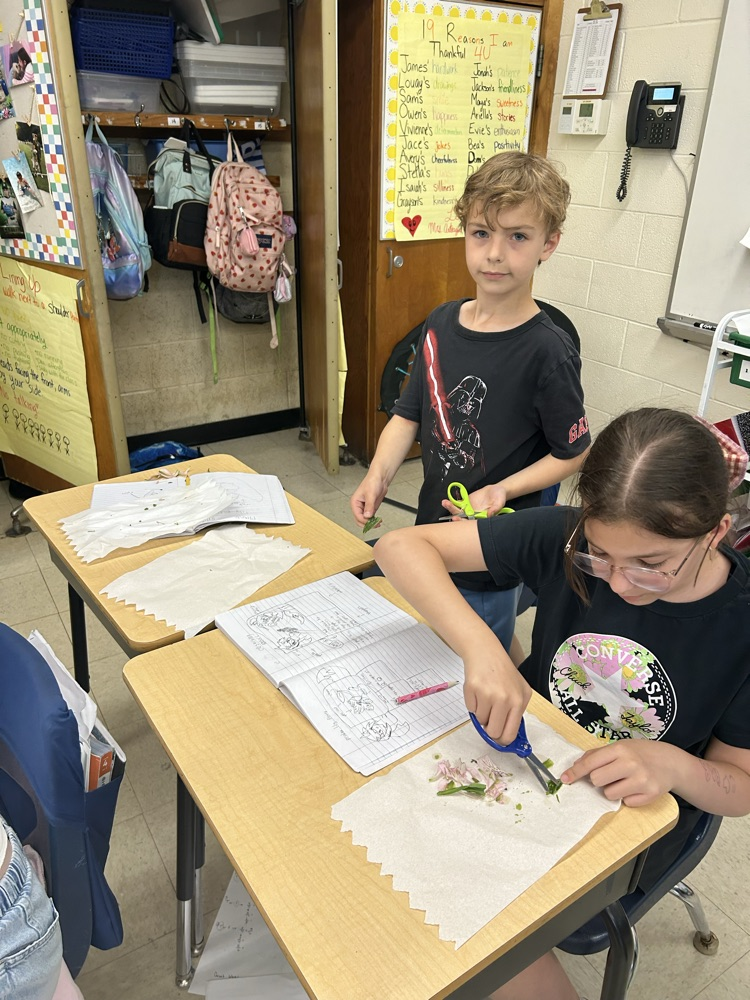 Dissecting flowers