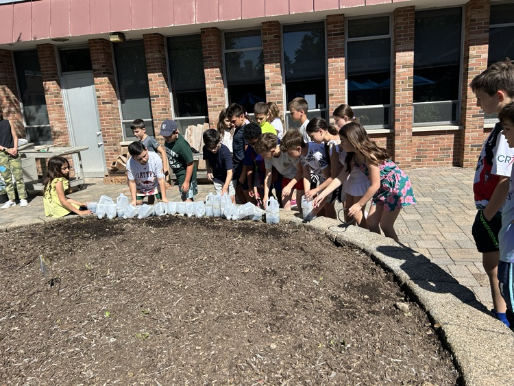 Planting!