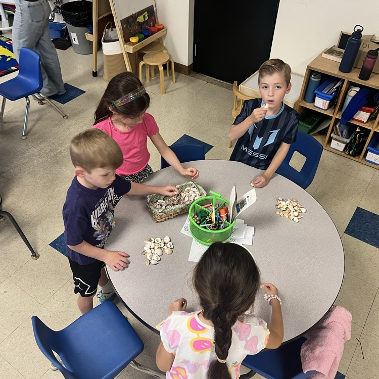 KRO sorts a variety of loose parts by attributes.