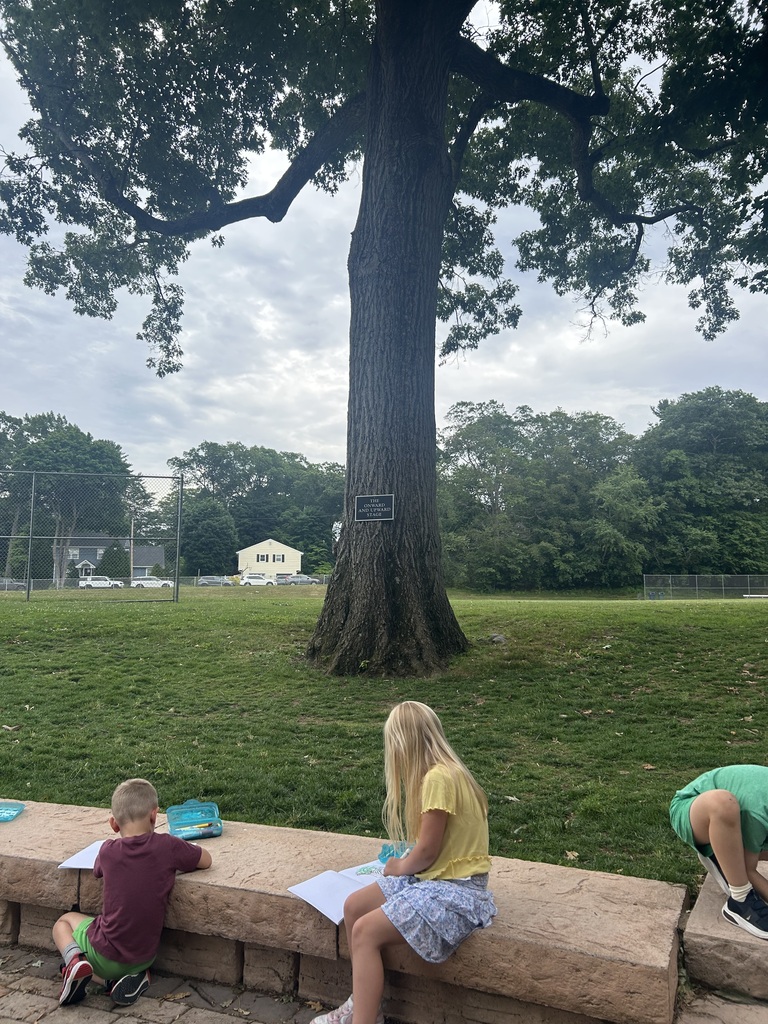 Children exploring