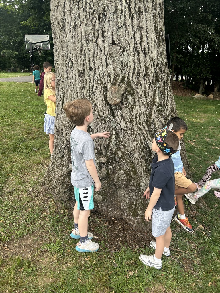 Children exploring
