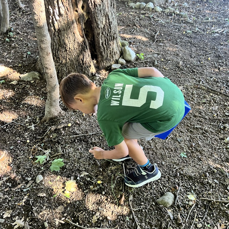 Thank you Mrs. Viaud for helping us create our nature self portraits.