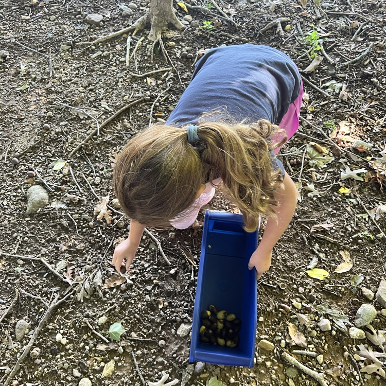 Thank you Mrs. Viaud for helping us create our nature self portraits.