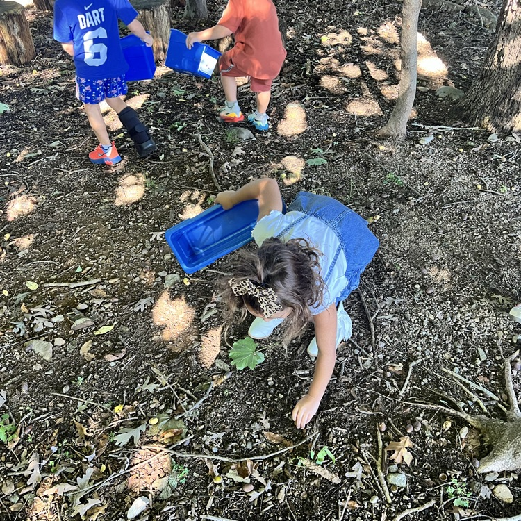 Thank you Mrs. Viaud for helping us create our nature self portraits.