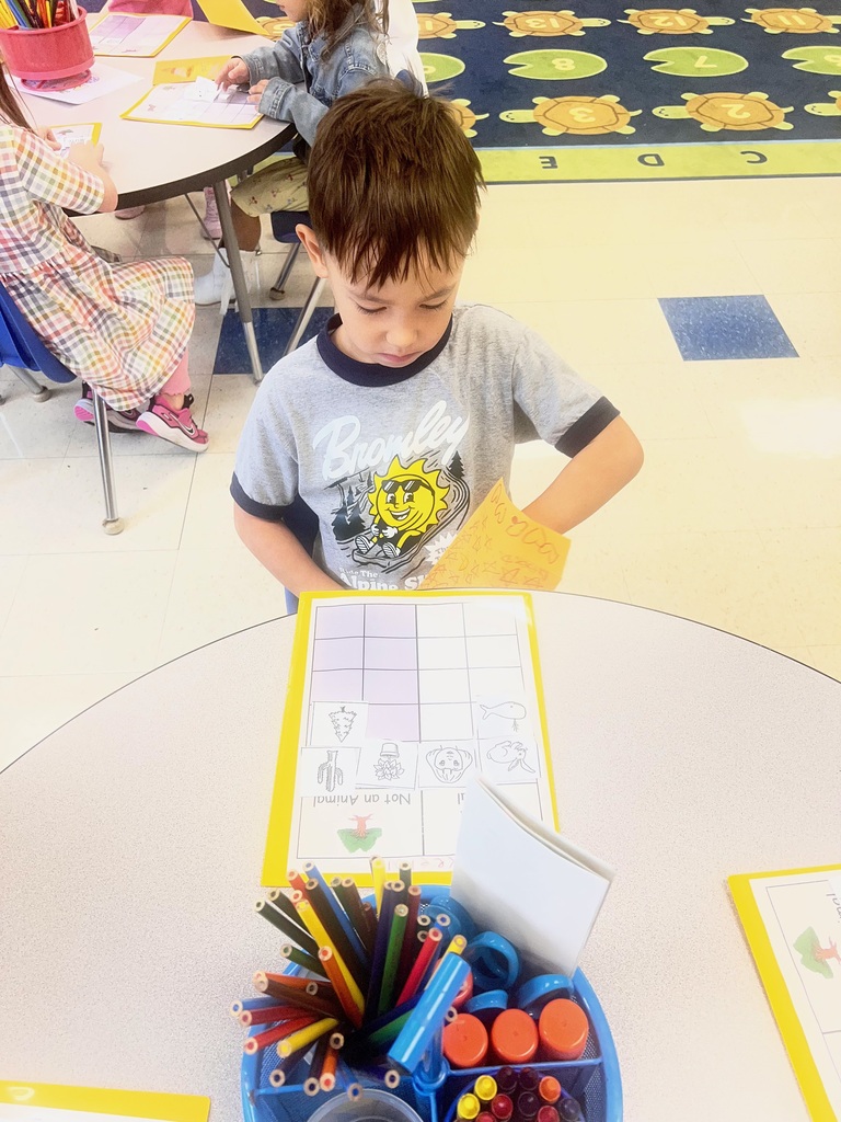 KR practices a Concept Sort in Word Study