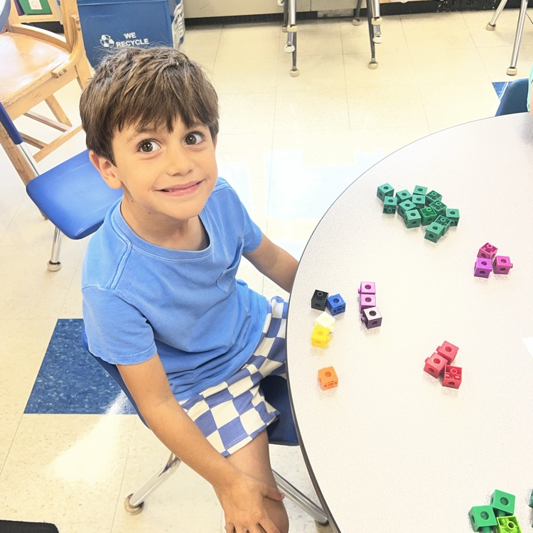 KR practices sorting objects in math