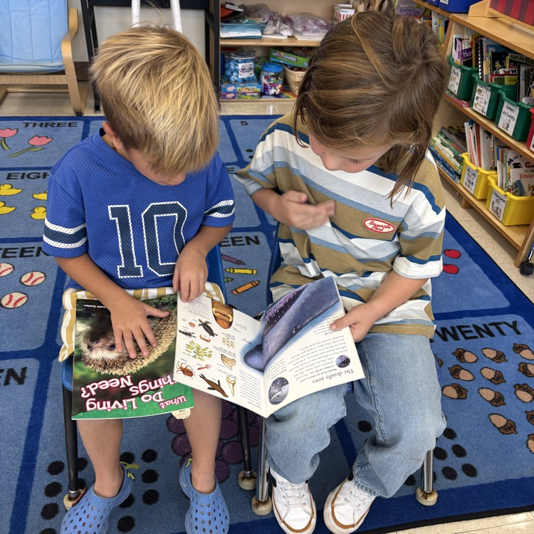 boys reading together